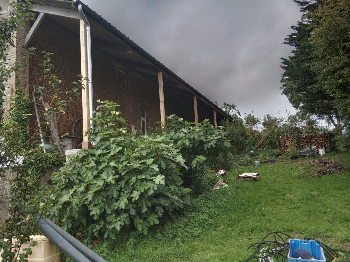 Rénovation de poteaux de charpente