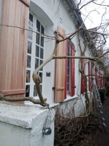 Volets sur mesure bois Palapi - ETS SEVIN